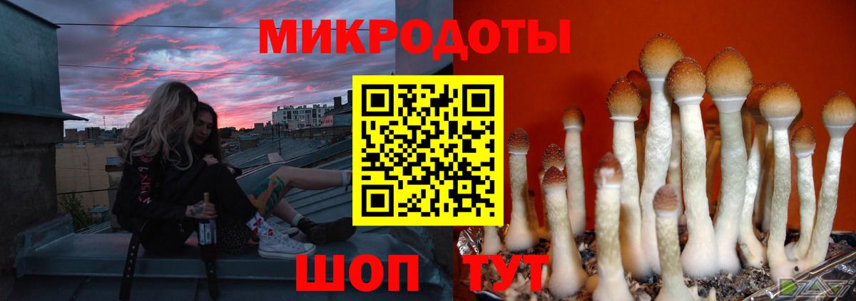 Псилоцибиновые грибы мухоморы  Вход с VPN  Торжок 