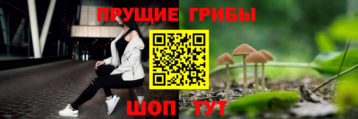 Галлюциногенные грибы MAGIC MUSHROOMS Торжок